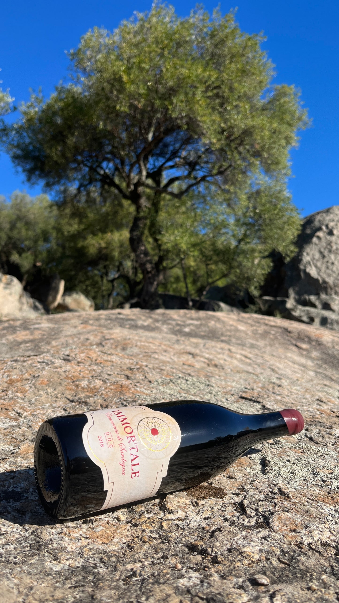 IMMORTALE Cannonau wine