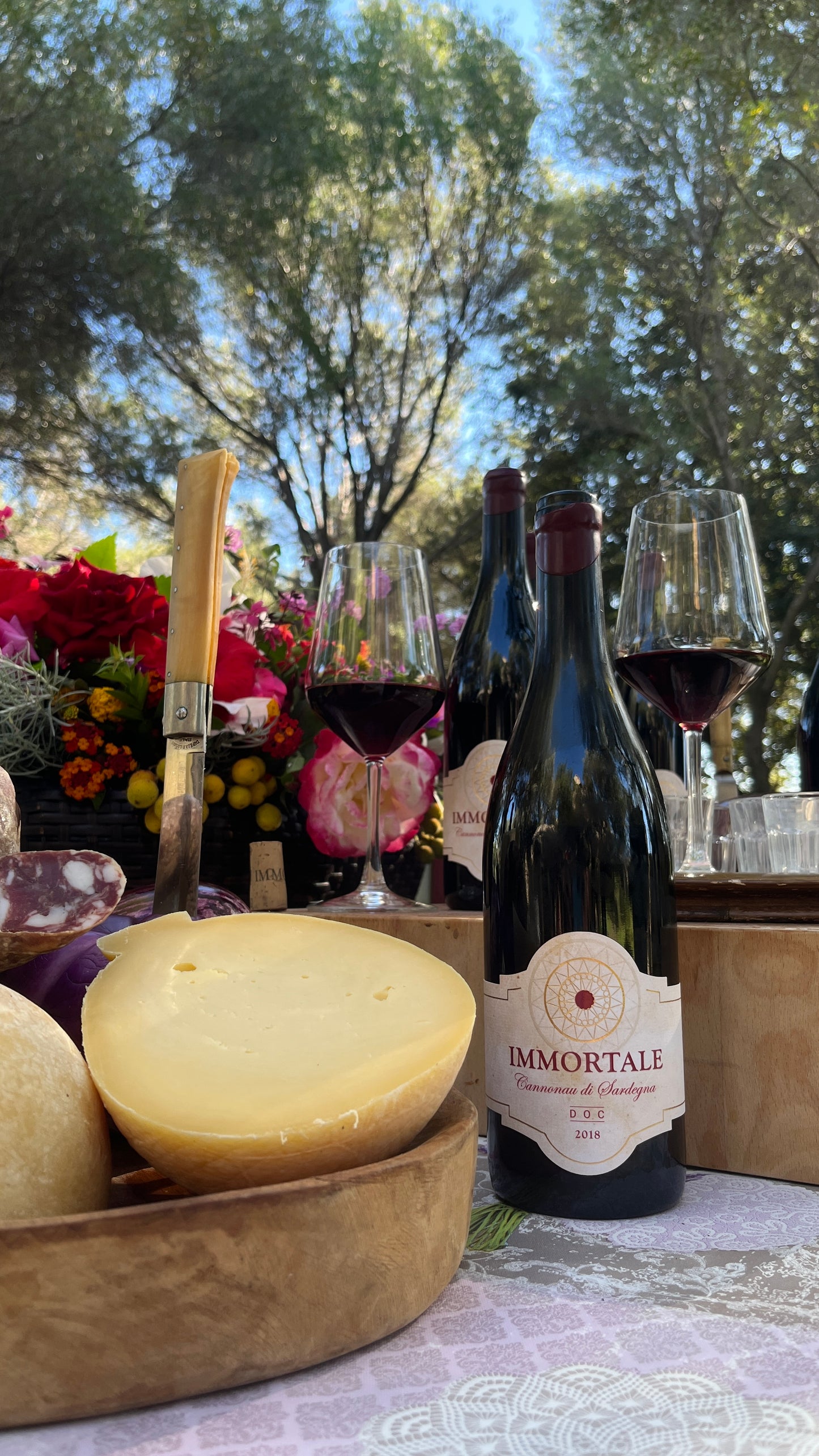IMMORTALE Cannonau wine